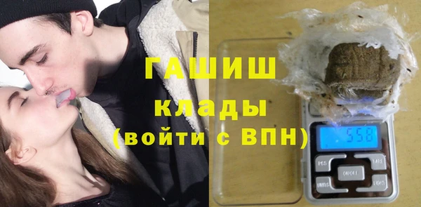 ПСИЛОЦИБИНОВЫЕ ГРИБЫ Дмитриев