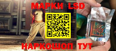 ешки Камышлов