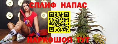 прущие крисы Кингисепп