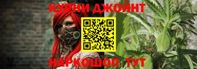 шишки Канаш