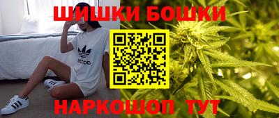 прущие крисы Кингисепп