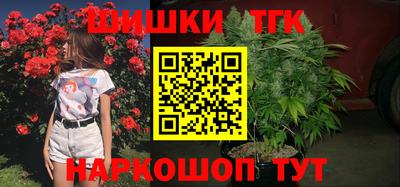прущие крисы Кингисепп