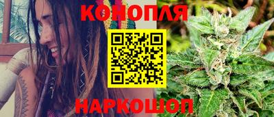 шишки Канаш
