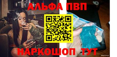 прущие крисы Кингисепп