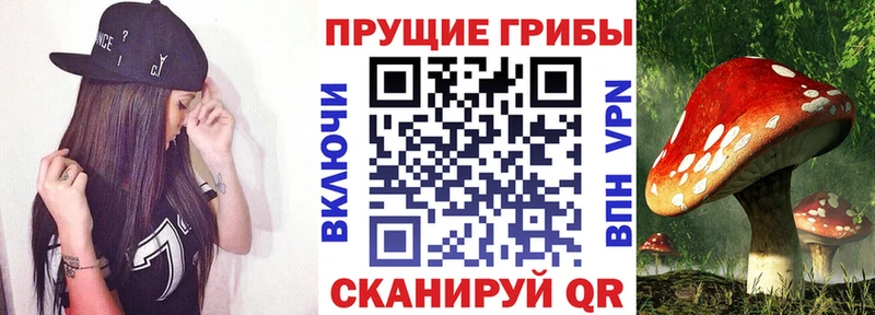 Псилоцибиновые грибы Cubensis  Красный Сулин 